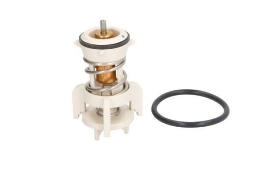 Termostat THERMOTEC D2A010TT