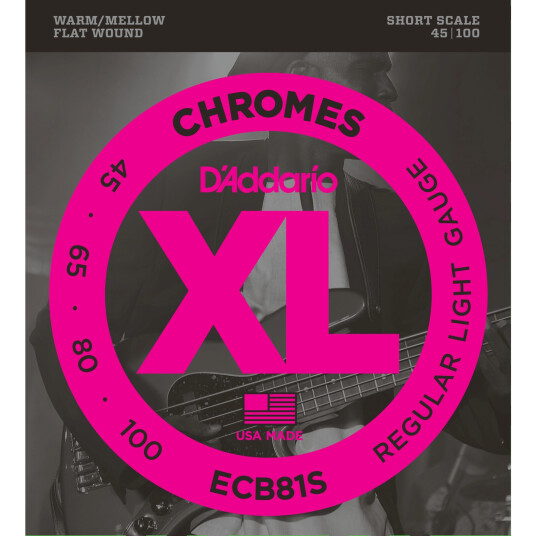 D'Addario Ecb81s 045-100
