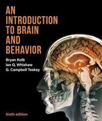 Kolb Bryan Introduction to Brain and Behavior