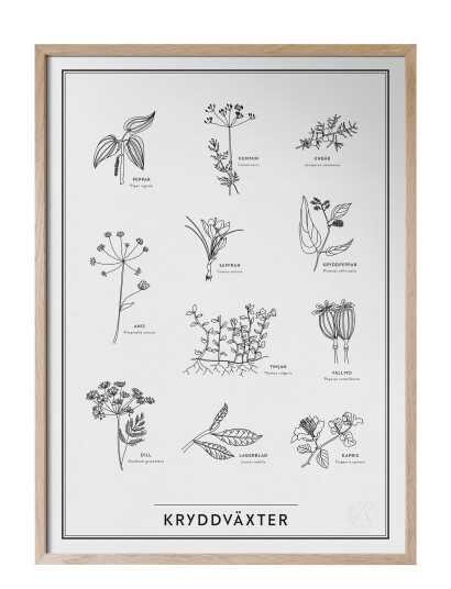 Kunskapstavlan® Kryddväxter - Multi/patterned - 30X40