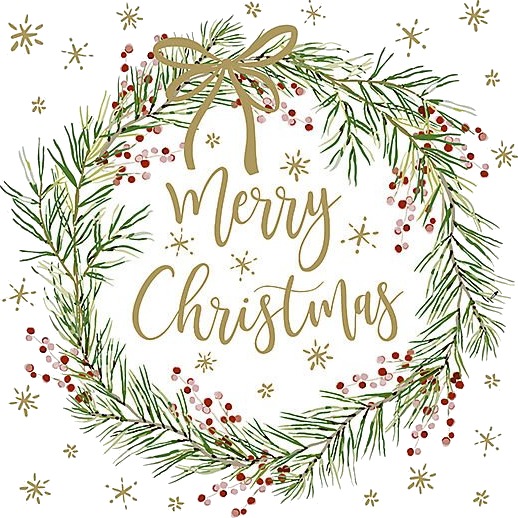 Jernia Servietter 33x33cm tartan merry christmas white