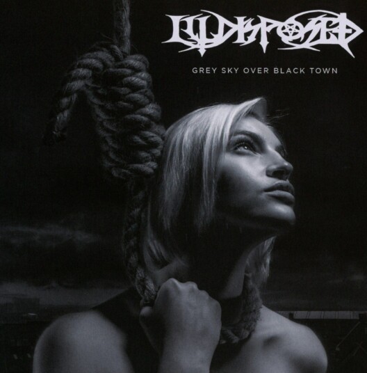 Illdisposed  Grey Sky Over Black Town  CD