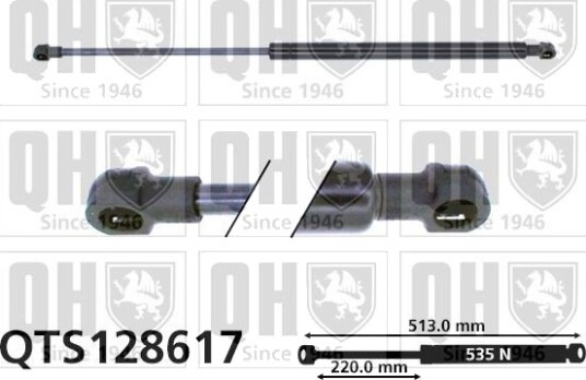 QUINTON HAZELL QTS128617 Baklukedemper