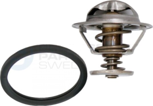 Termostat Professional Parts 26349512