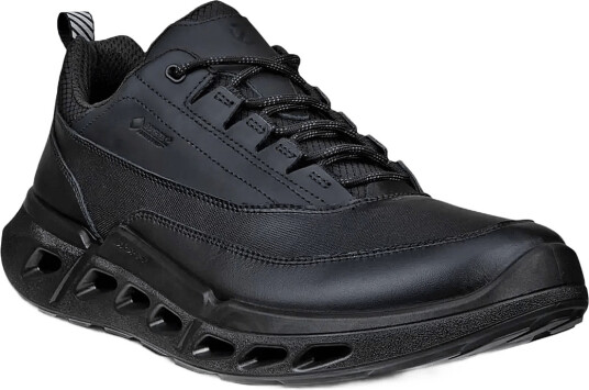 ECCO Biom 720 M Black 40