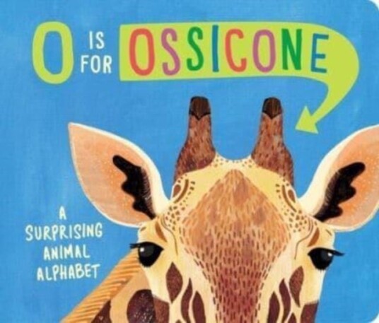O Is for Ossicone O Is for Ossicone