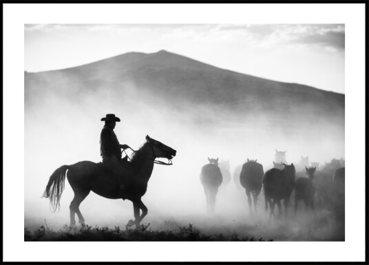 Cowboy Herding Horses Plakat / 50x70