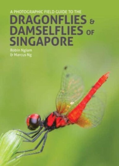 A Photographic Field Guide To The Dragonflies & Damselflies Of Singapore Av Robin Ngiam, Marcus Ng