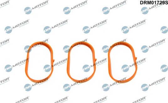 Pakkningssett innsugningsmanifold Dr.Motor Automotive DRM01729S