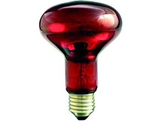 Helios Infrarød Varmeovn E27 75W 80Mm R-80 Ruby For Terrarium Pro-1466
