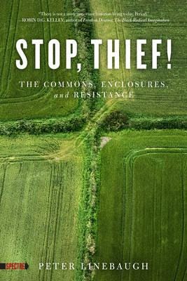 Stop, Thief! Av Peter Linebaugh