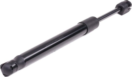 RIDEX 219G0128 Baklukedemper