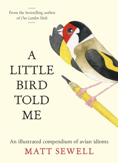 A Little Bird Told Me  An Illustrated Compendium of Avian Idioms