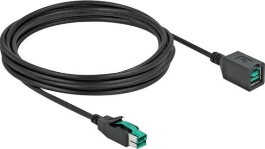 Delock Poweredusb Extension Cable Usb Pluspower 12 V Hann Til Usb Pluspower 12 V Hunn 12 V 4 M Svart