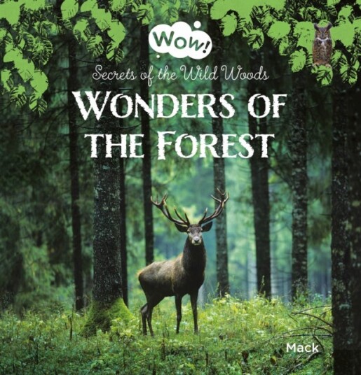 Wonders of the Forest. Secrets of the Wild Woods Wonders of the Forest. Secrets of the Wild Woods