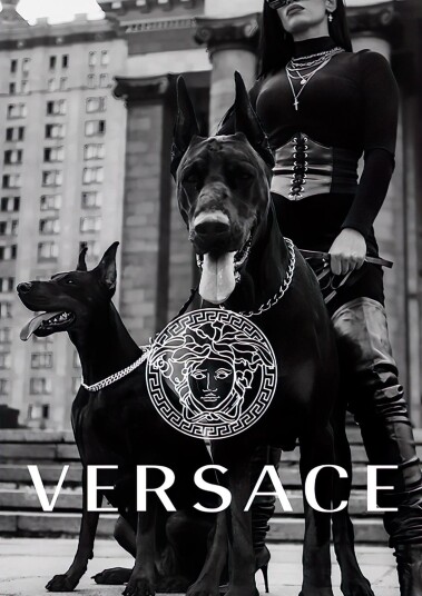Versace Hund Plakat Versace Hund Plakat