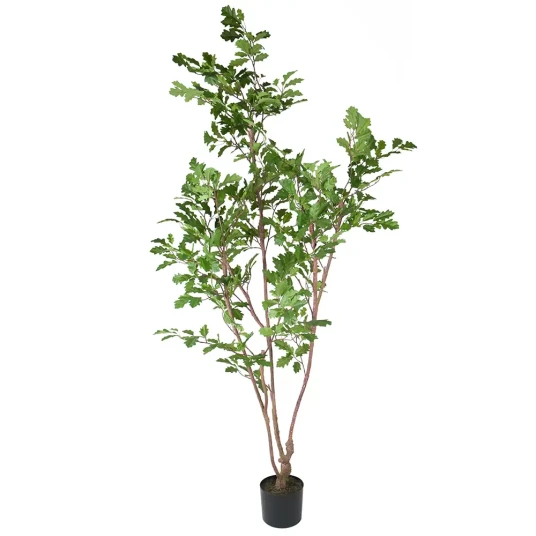 Mr Plant Eiketre 170 cm Mr Plant Eiketre 170 cm