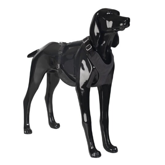 Paikka Visibility Hundesele Svart Str S med Refleks