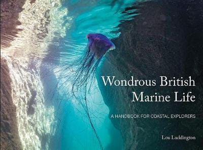 Wondrous British Marine Life A handbook for coastal explorers Wondrous British Marine Life A handbook for coastal explorers