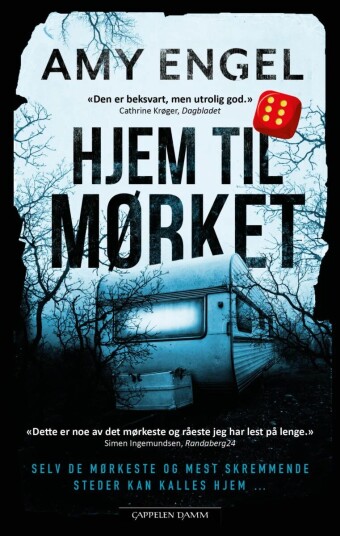 Hjem Til Mørket Av Amy Engel