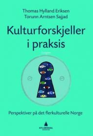 Kulturforskjeller i praksis