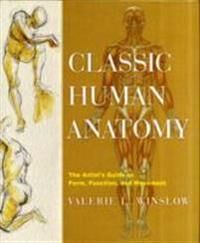Classic Human Anatomy Av V Winslow Classic Human Anatomy Av V Winslow