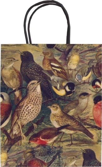 Skona Ting Dekorativ Veske A5 Stbag145 Birds