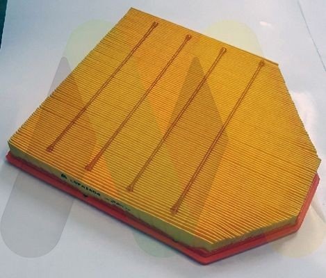 MOTAQUIP LVFA1604 Luftfilter