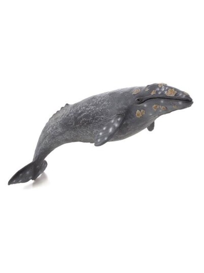 Mojo Sealife   Gray Whale