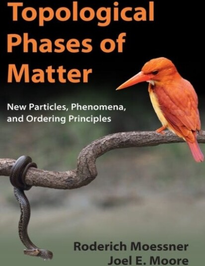 Topological Phases of Matter