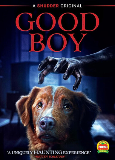 Good Boy 2025 DVD