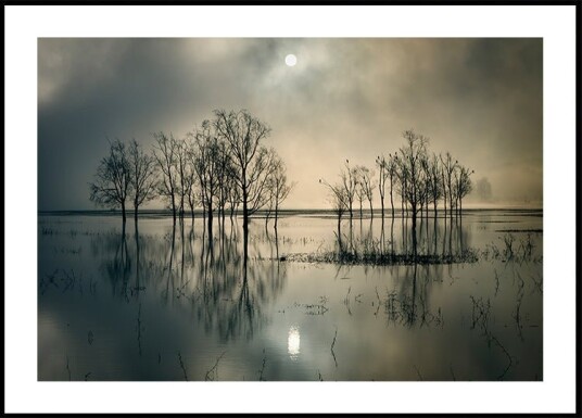 Lake"s Secret Plakat / 40x50cm Lake"s Secret Plakat / 40x50cm