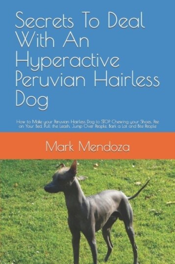 Secrets To Deal With An Hyperactive Peruvian Hairless Dog Secrets To Deal With An Hyperactive Peruvian Hairless Dog
