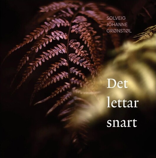 Det Lettar Snart Av Solveig Johanne Grønstøl