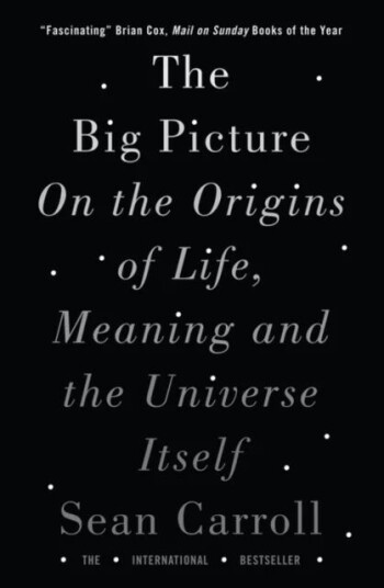 The Big Picture Av Sean Carroll