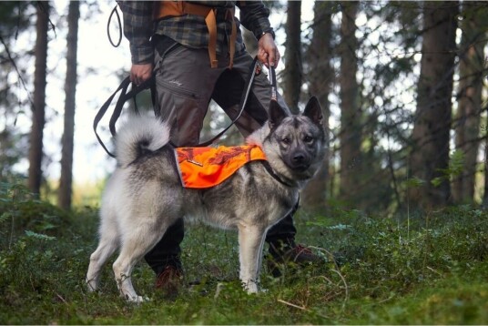 Non-Stop Dogwear Camo Hundevest Oransje Justerbar - Small