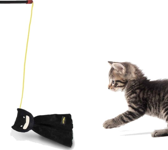 For Fan Pets Batman Lekepinne