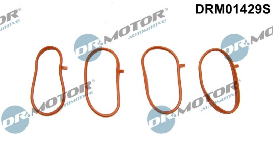 Pakkningssett innsugningsmanifold Dr.Motor Automotive DRM01429S