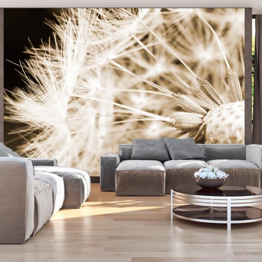 Fototapet Dandelion Sepia 200x140 - Artgeist sp. z o. o.