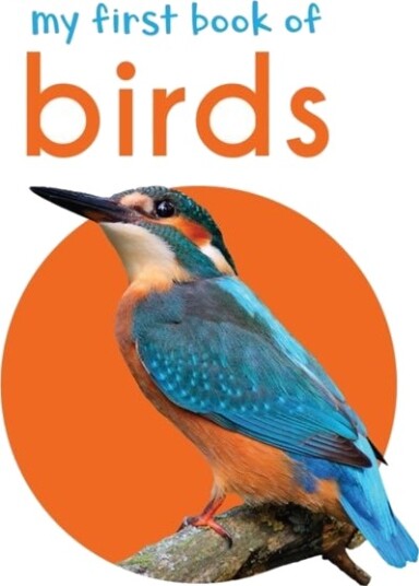 My First Book of Birds