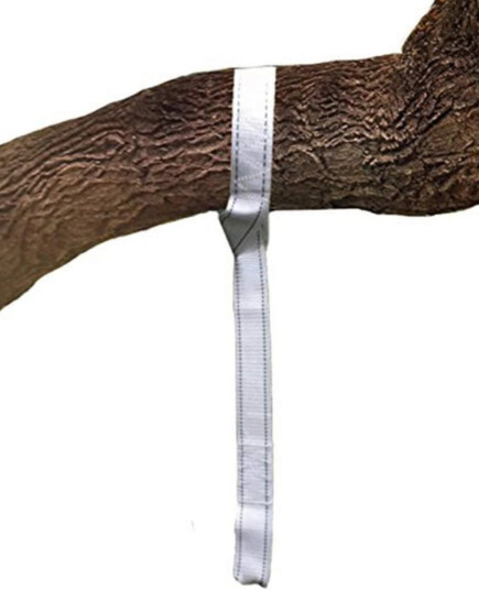 Cacoon  Treoppheng til Cacoon