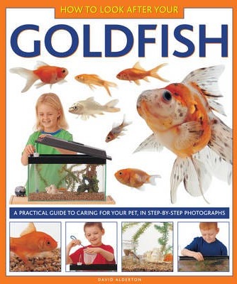 How to Look After Your Goldfish