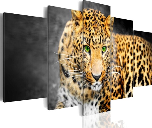 Bilde Green Eyed Leopard 200x100 Artgeist sp. z o. o.