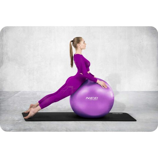 Treningsball 65 cm NS 951 lilla