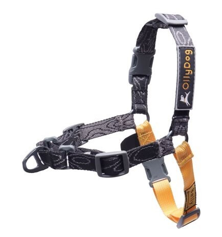 OllyDog Essential Harness