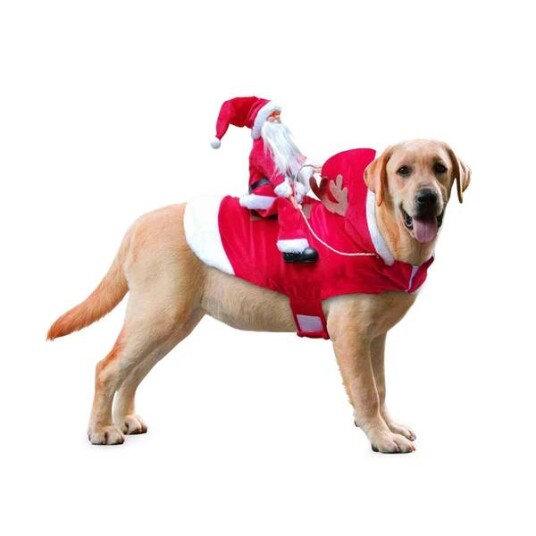 Hundekostyme Til Jul Julenissen Som Rir På Reinsdyr