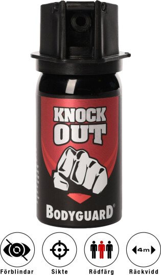 Bodyguard Knock Out Bodyguard Knock Out