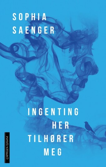 Ingenting her tilhører meg av Sophia Saenger