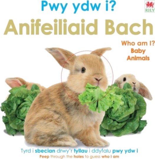 Pwy Ydw i? Anifeiliaid Bach / Who Am I? Baby Animals Pwy Ydw i? Anifeiliaid Bach / Who Am I? Baby Animals
