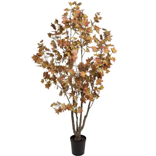 Mr Plant Lønntre 180 cm Mr Plant Lønntre 180 cm